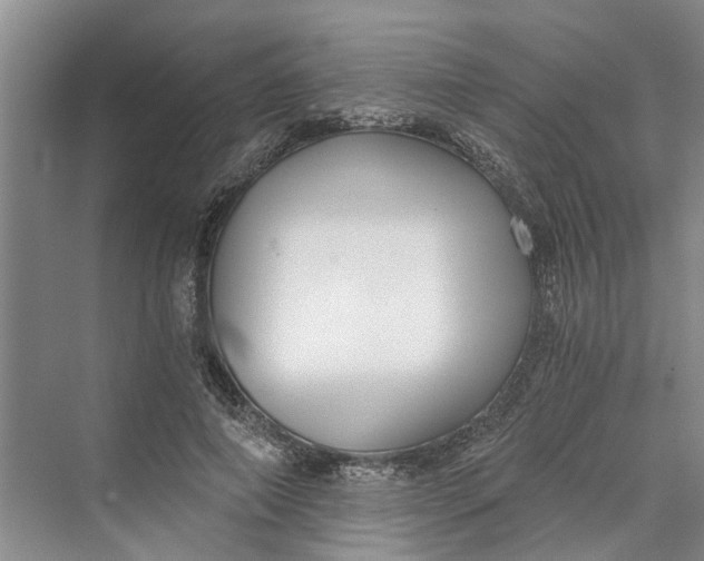 X0000069800690200606021440