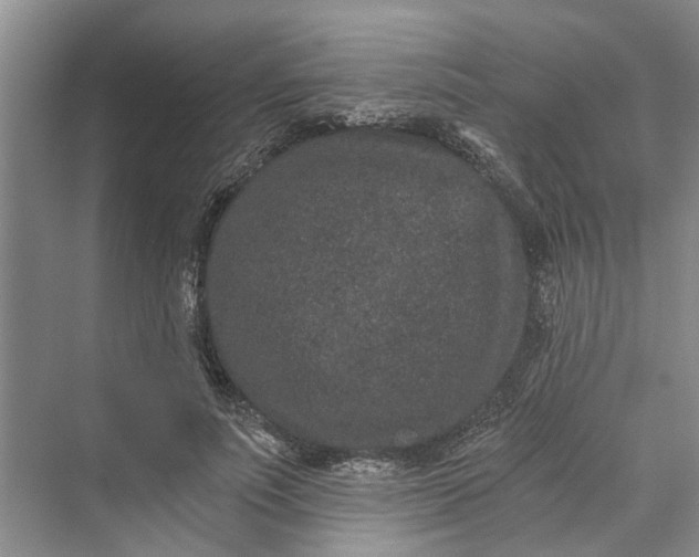 X0000069800691200606021440