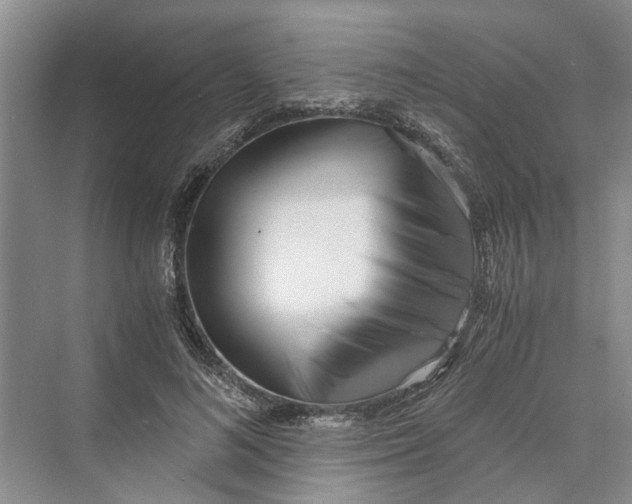 X0000069800692200606021440