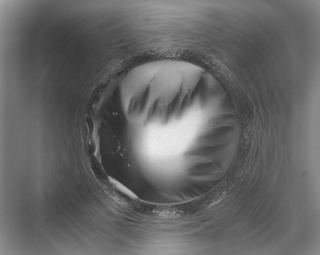 X0000069800693200606021440