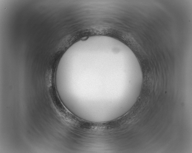 X0000069800694200606021439