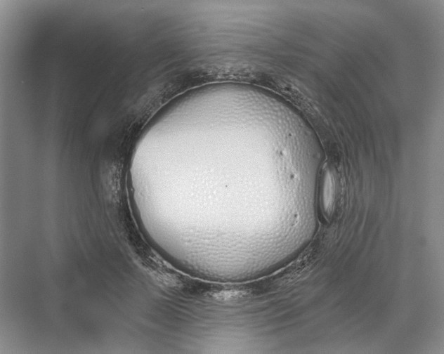 X0000069800695200606021439