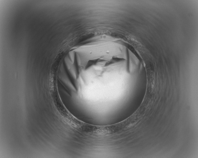 X0000069800696200606021439