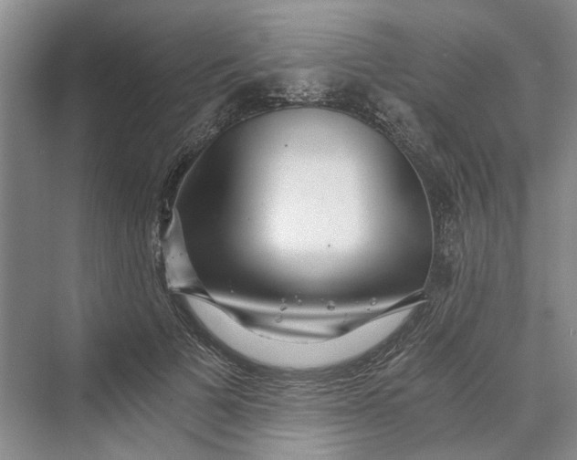 X0000069800697200606021439