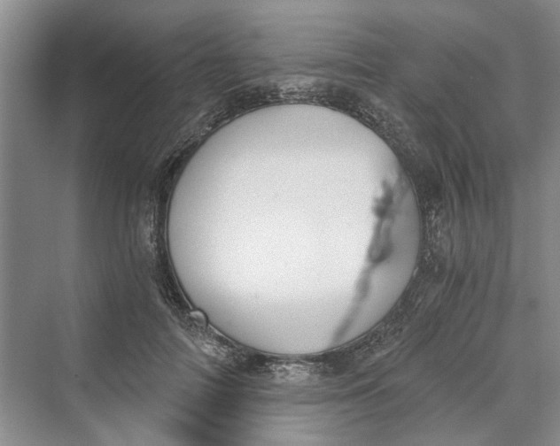 X0000069800698200606021439