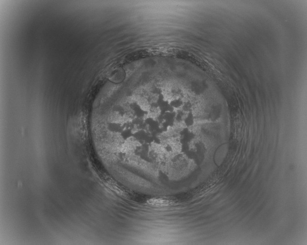 X0000069800699200606021439