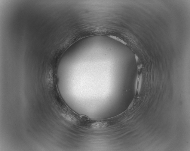 X0000069800700200606021439