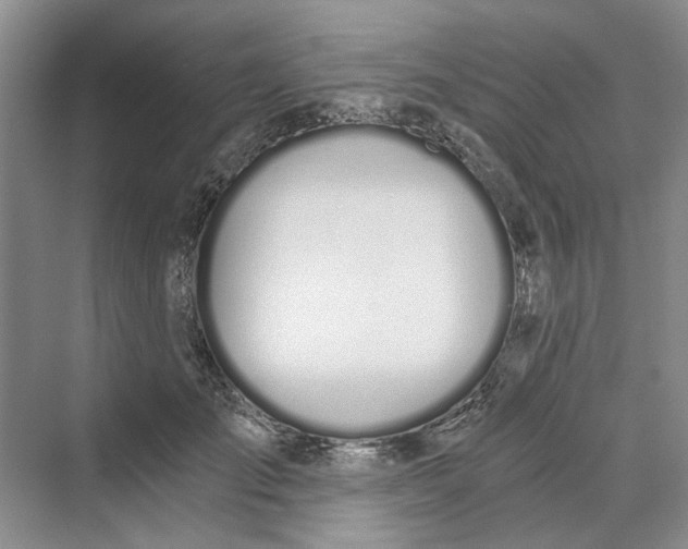 X0000069800701200606021439