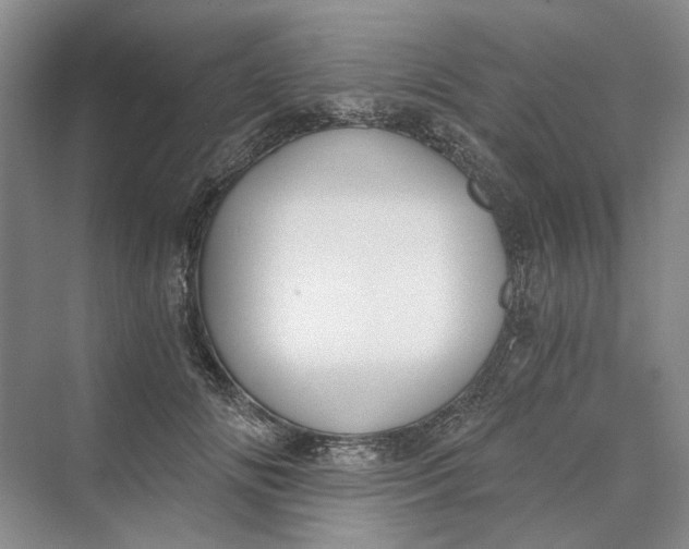 X0000069800702200606021439