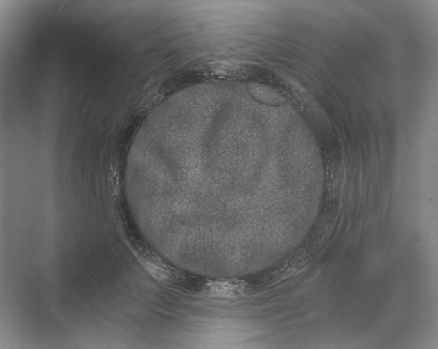 X0000069800703200606021439