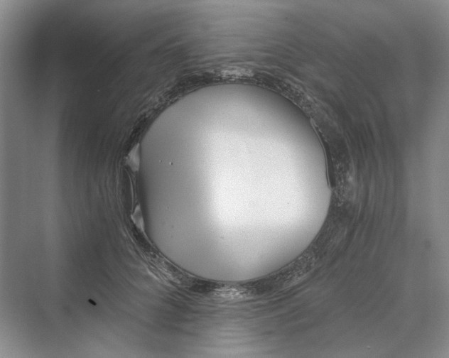 X0000069800704200606021439