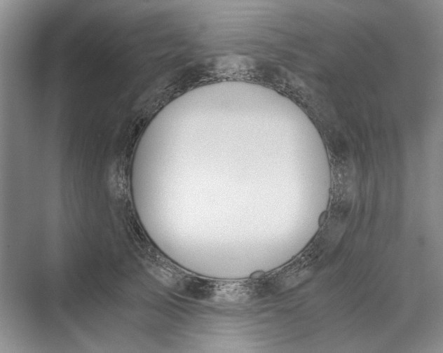 X0000069800705200606021439