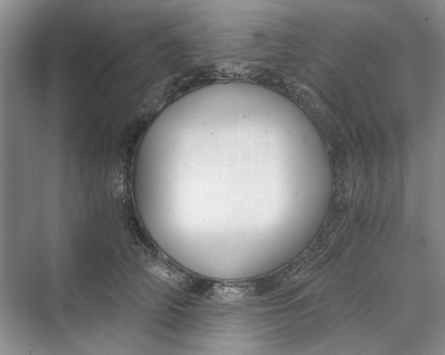 X0000069800706200606021439