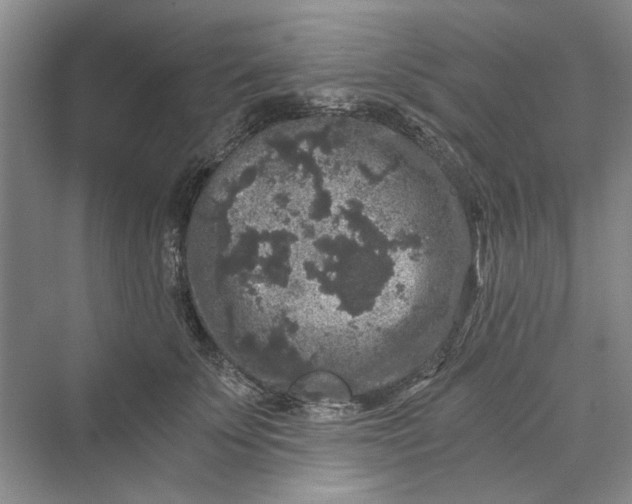 X0000069800707200606021439