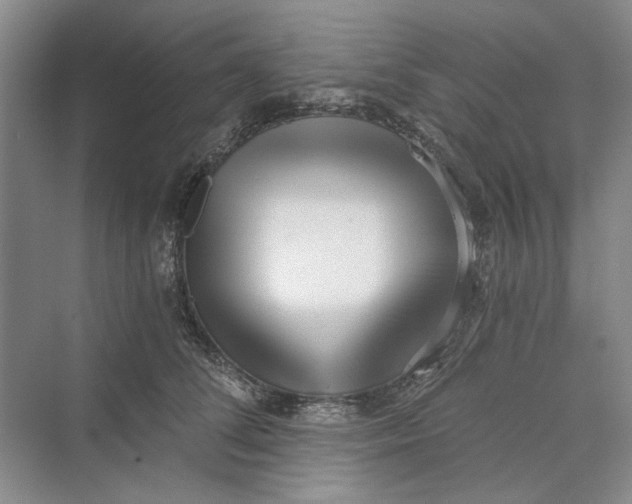 X0000069800708200606021439