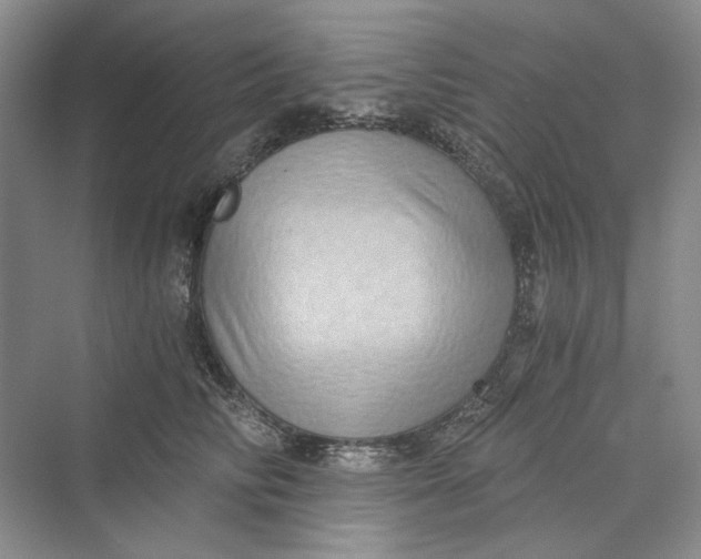 X0000069800710200606021439