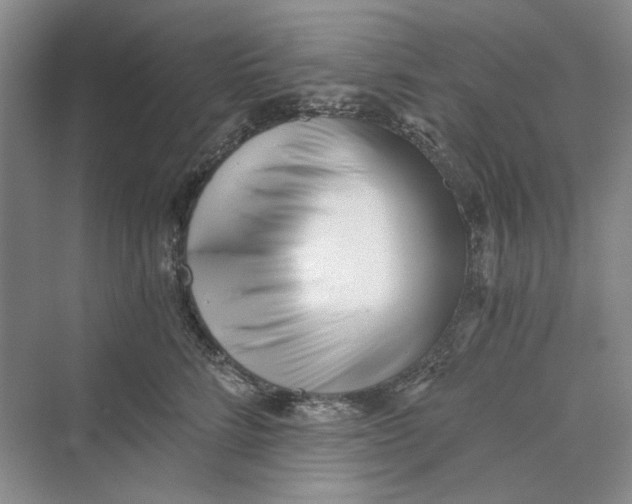 X0000069800712200606021439