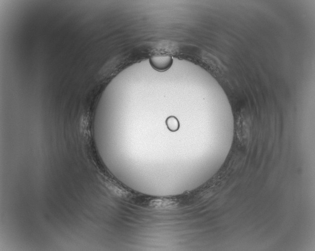 X0000069800714200606021439