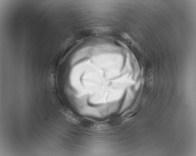 X0000069800716200606021439