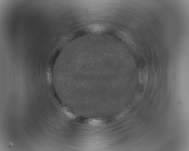 X0000069800718200606021439