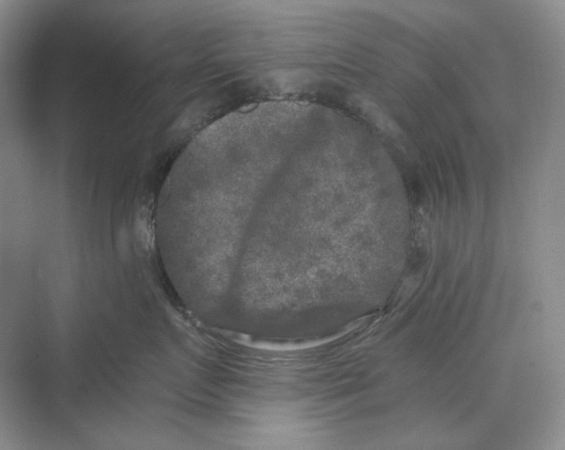 X0000069800719200606021439