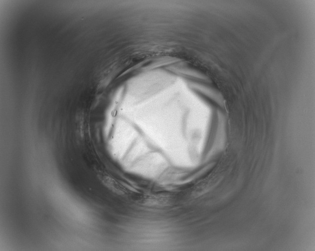 X0000069800720200606021439