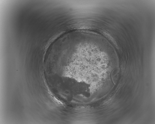 X0000069800721200606021438