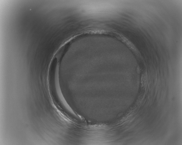 X0000069800722200606021438