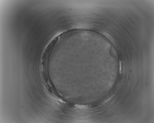 X0000069800723200606021438