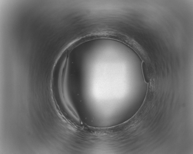 X0000069800724200606021438