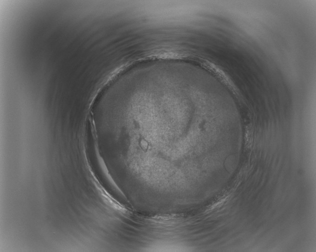 X0000069800725200606021438