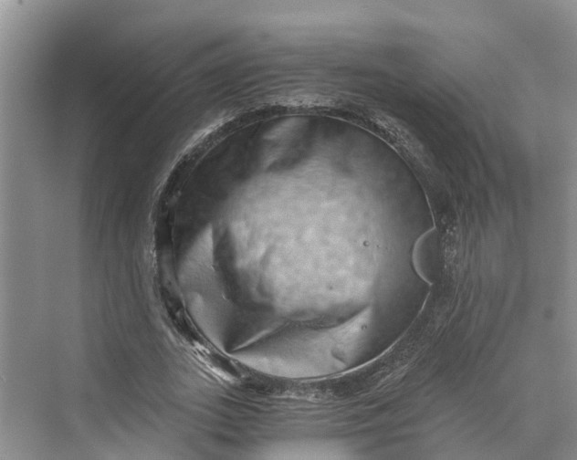 X0000069800727200606021438