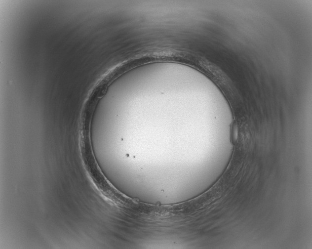 X0000069800728200606021438