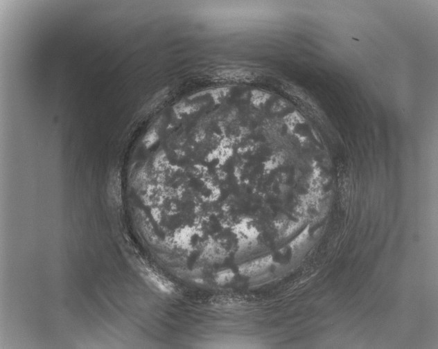 X0000069800729200606021438