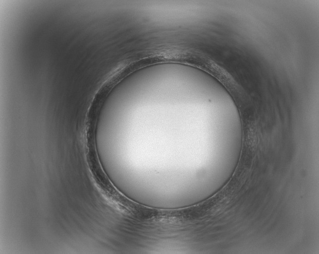 X0000069800730200606021438