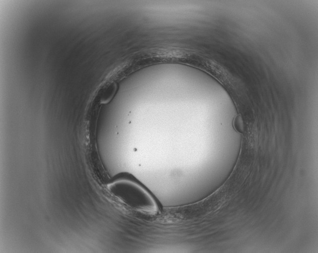 X0000069800731200606021438