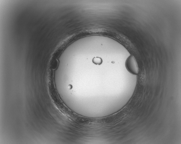 X0000069800732200606021438