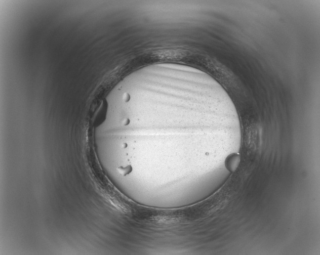 X0000069800733200606021438