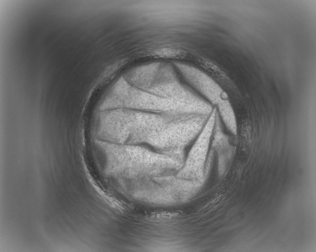 X0000069800734200606021438