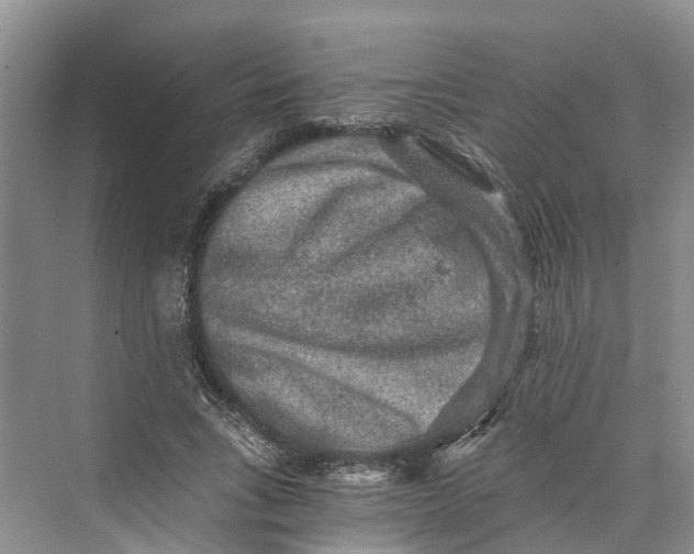 X0000069800735200606021438