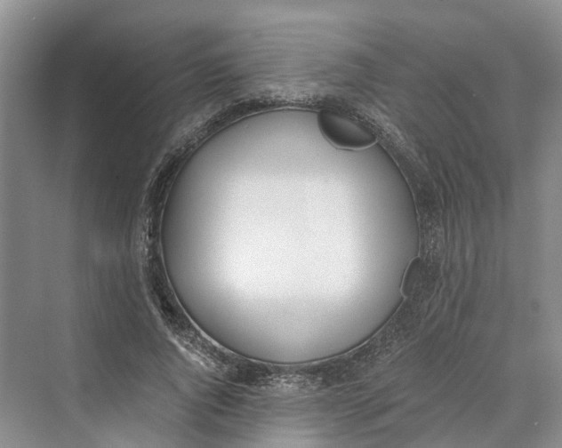 X0000069800736200606021439