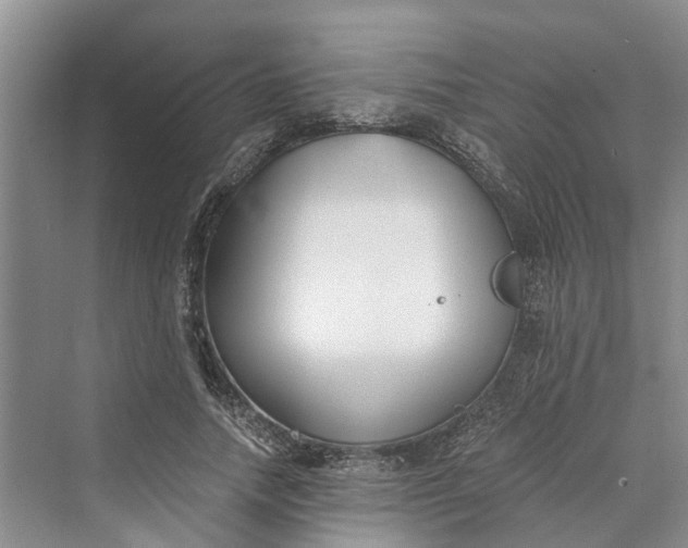 X0000069800738200606021439