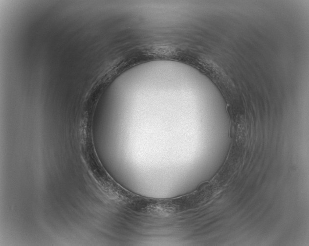 X0000069800739200606021439