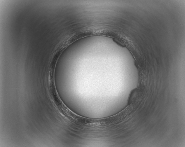 X0000069800740200606021439