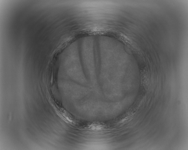 X0000069800742200606021439