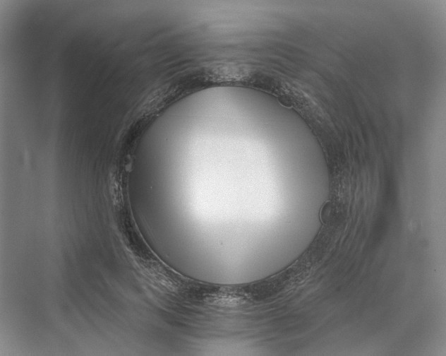 X0000069800743200606021439