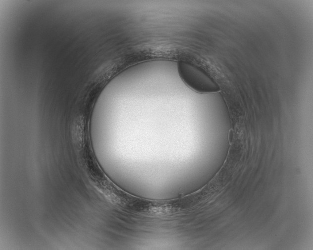 X0000069800744200606021439