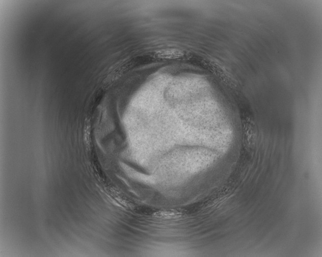 X0000069800745200606021439