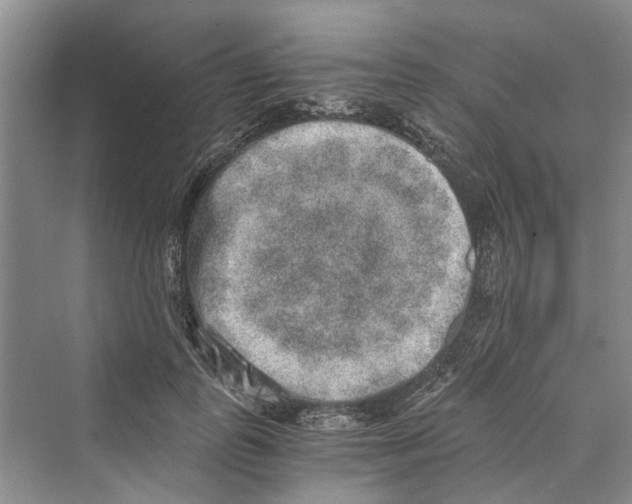 X0000069800747200606021439