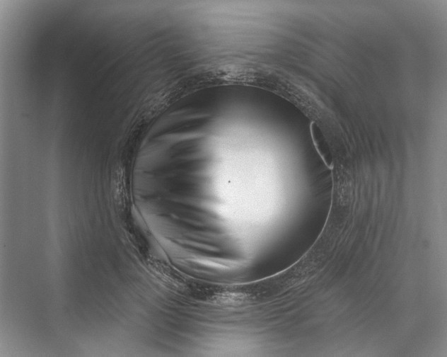 X0000069800748200606021439